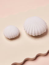 Big Seashell Jewellery Box - White