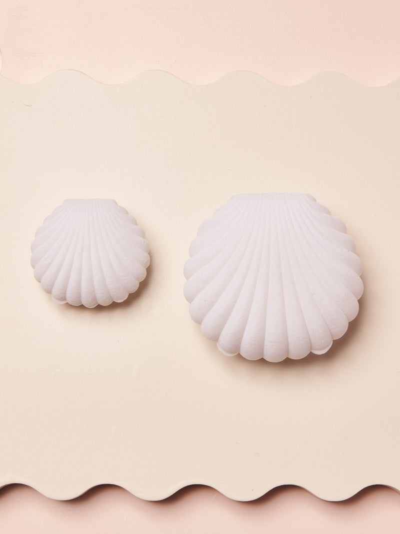 Big Seashell Jewellery Box - White