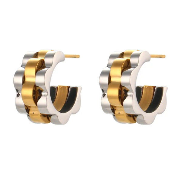 Gold & Silver Watchband Style Earrings