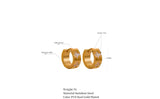 Clear Zirconia Mini Hoop Earrings