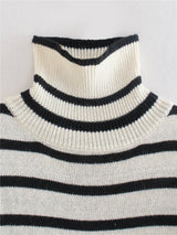 Striped Turtleneck Jumper