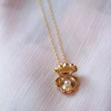 Shell With Real Pearl Necklace